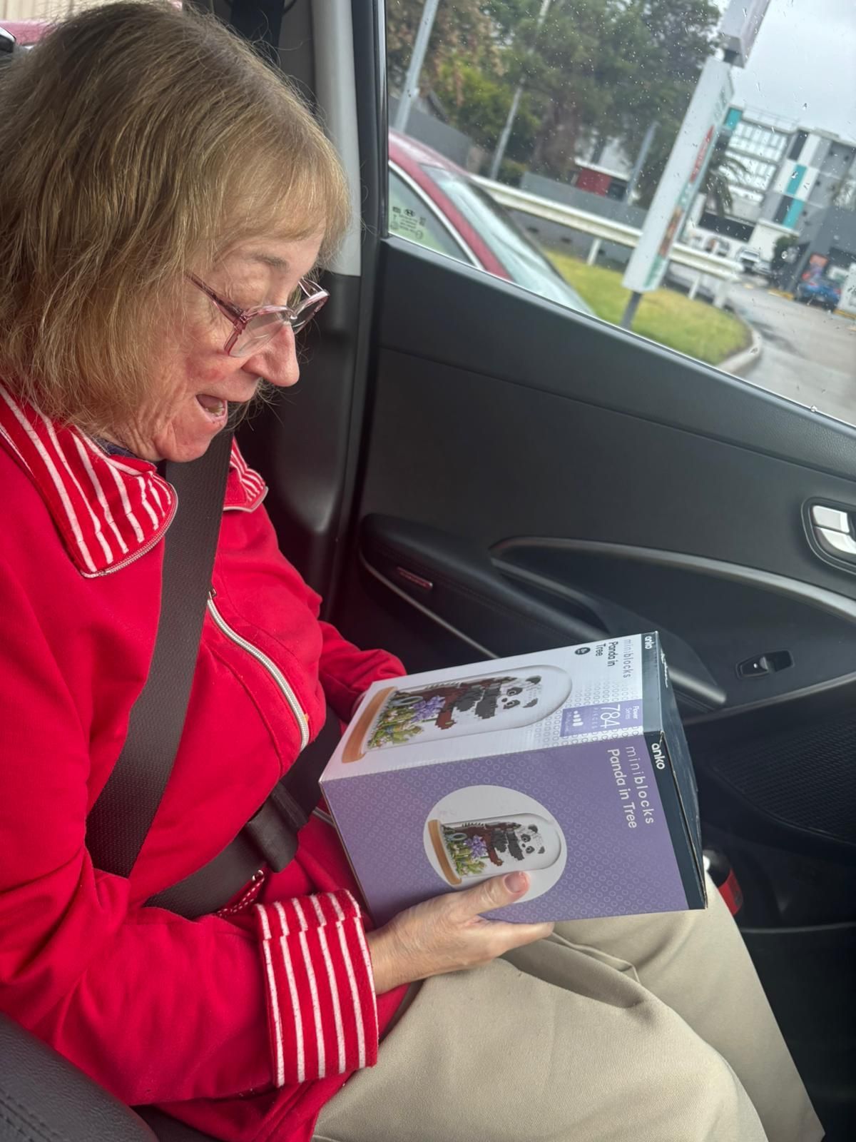 A woman in a wheelchair is being pushed on a swing by another woman