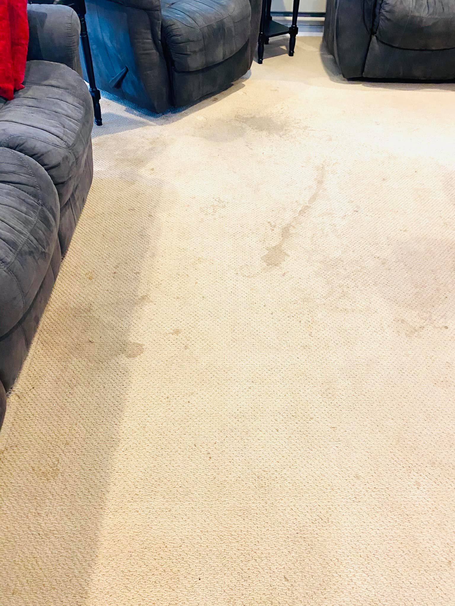Before Carpet Stain Removal