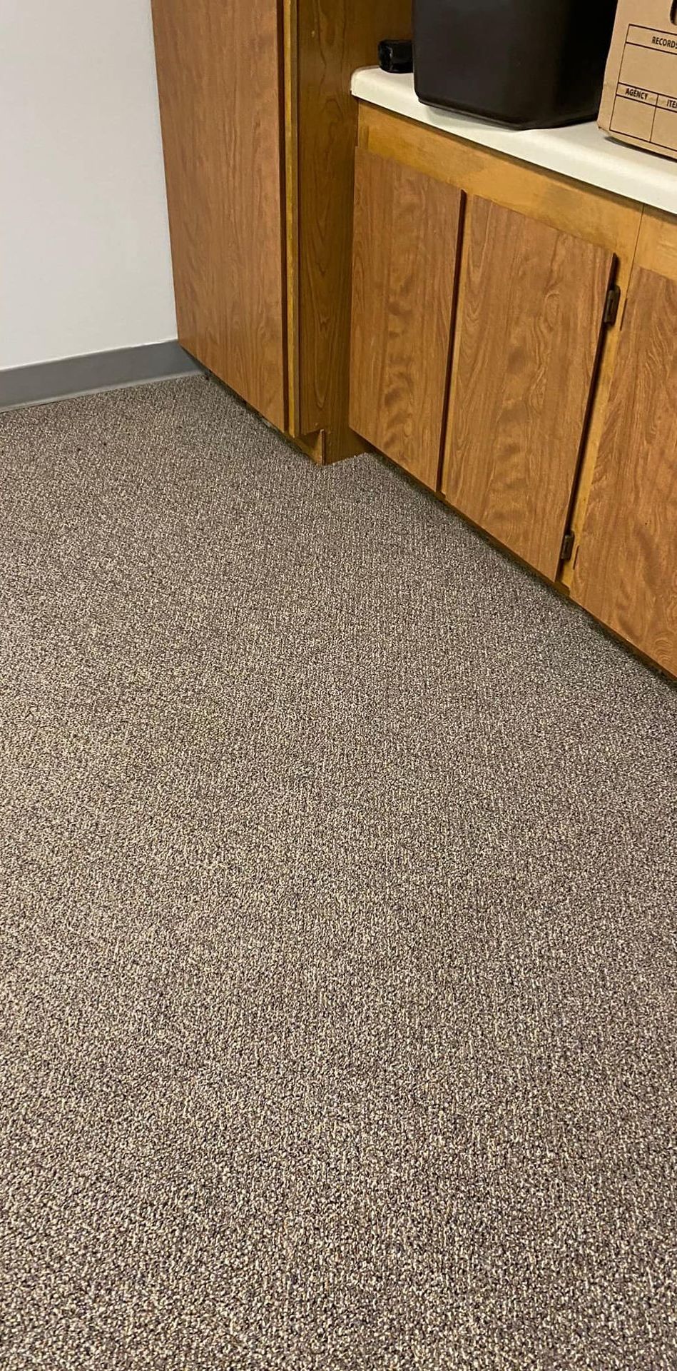 A close up of a carpeted floor in a room with wooden cabinets.