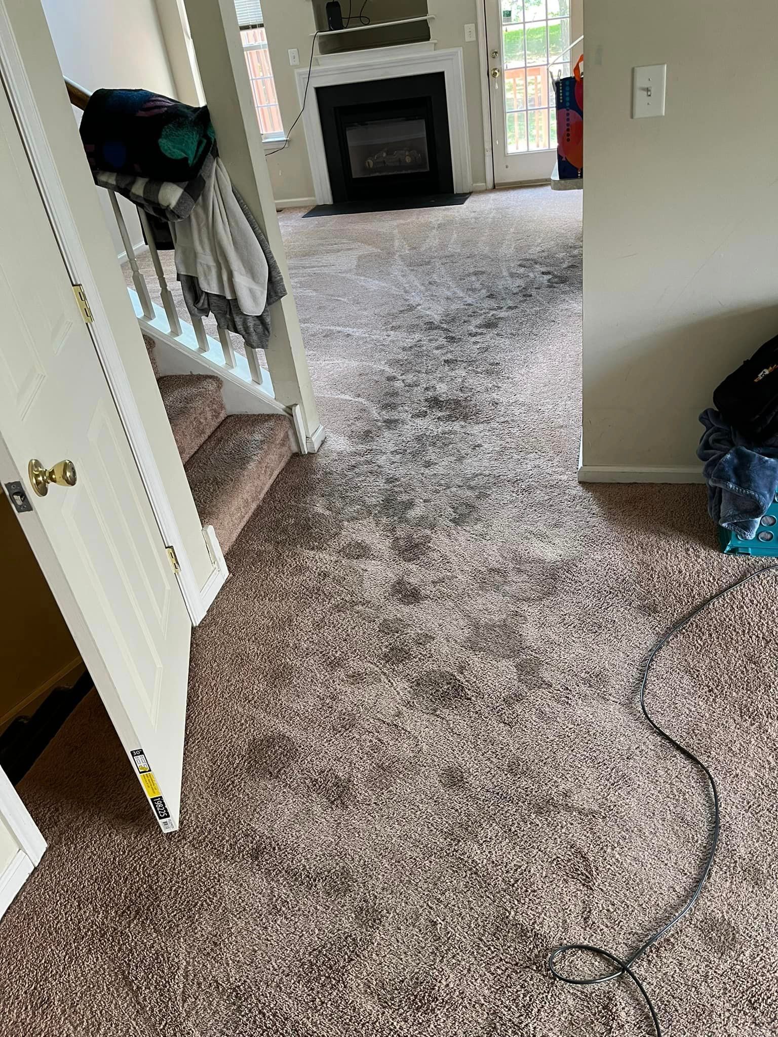 Carpet with Dirt