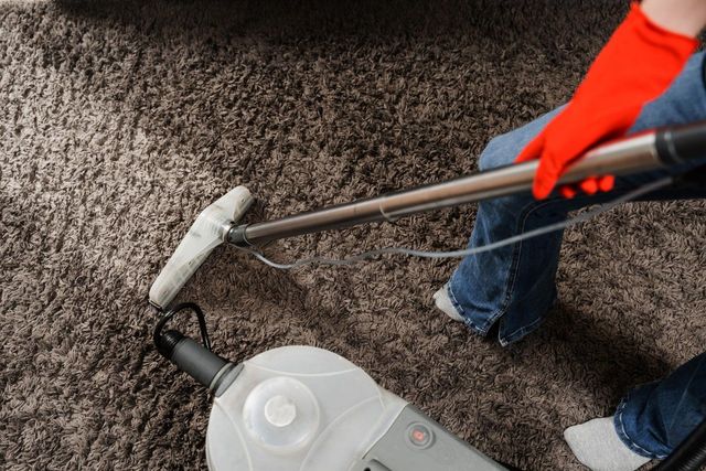 Transforming Spaces with Professional Carpet Cleaning