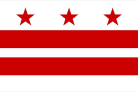 Washington DC Flag