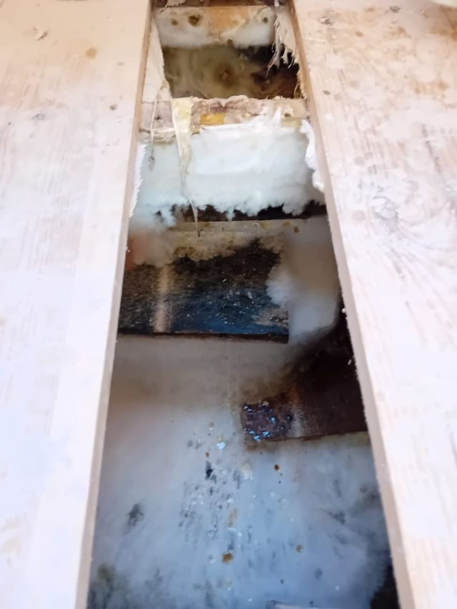Signs Of Dry Rot