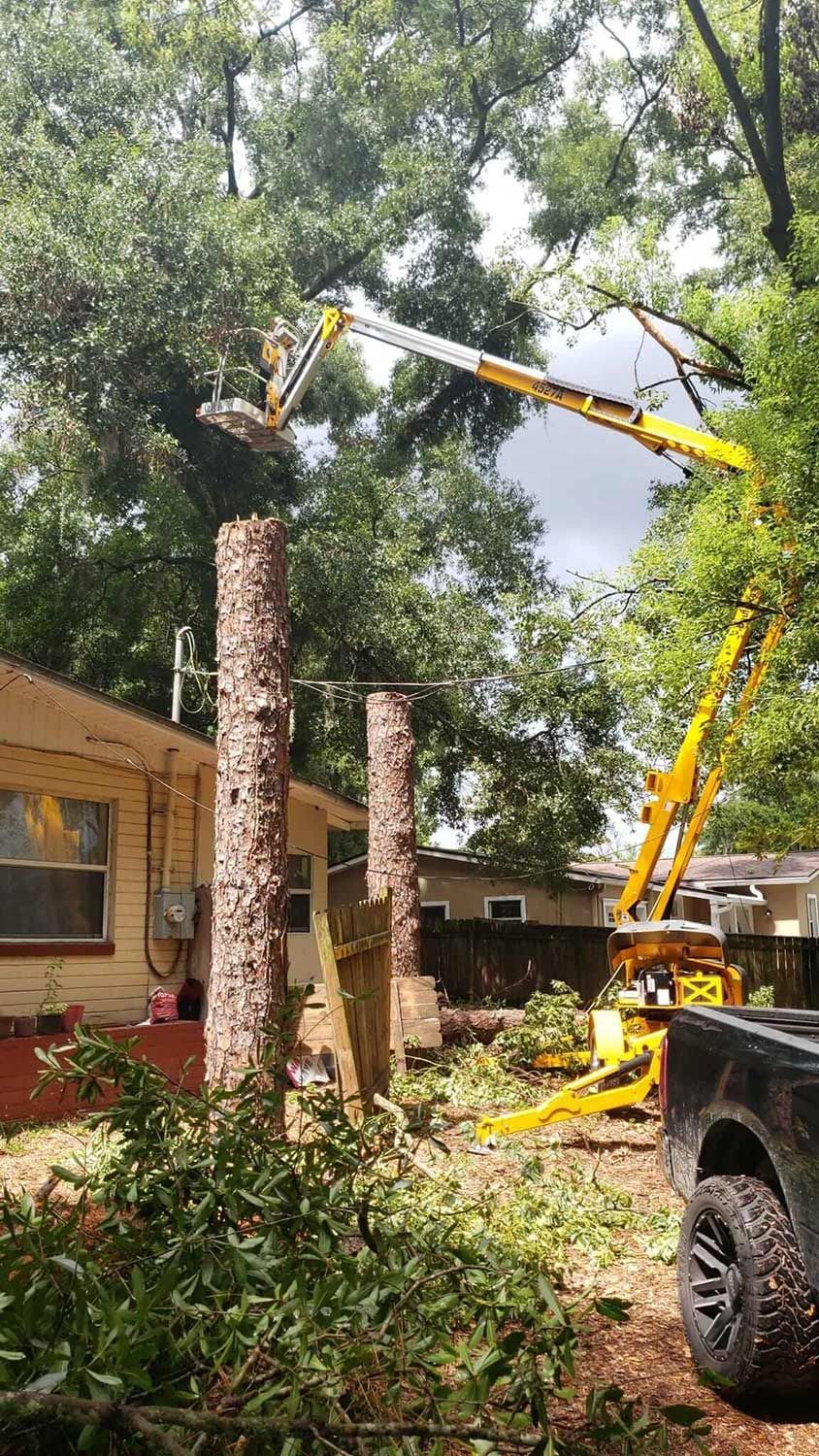 Tree being trimmed with a yellow lift near a house