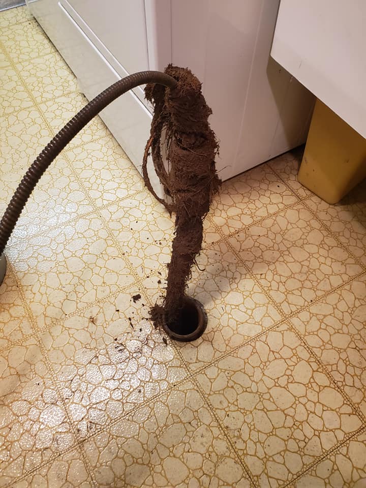 Sewer — Root Extraction in Bloomington, IL