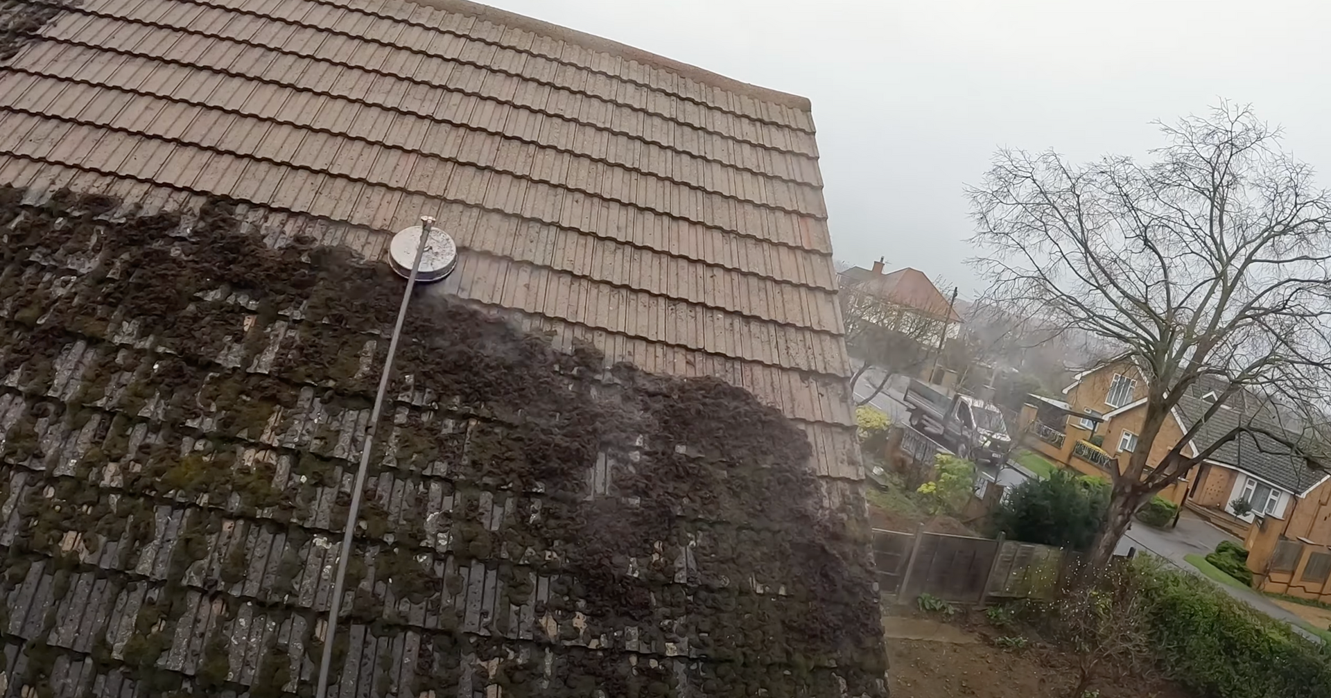 Moss Removal & Roof Cleaning Services