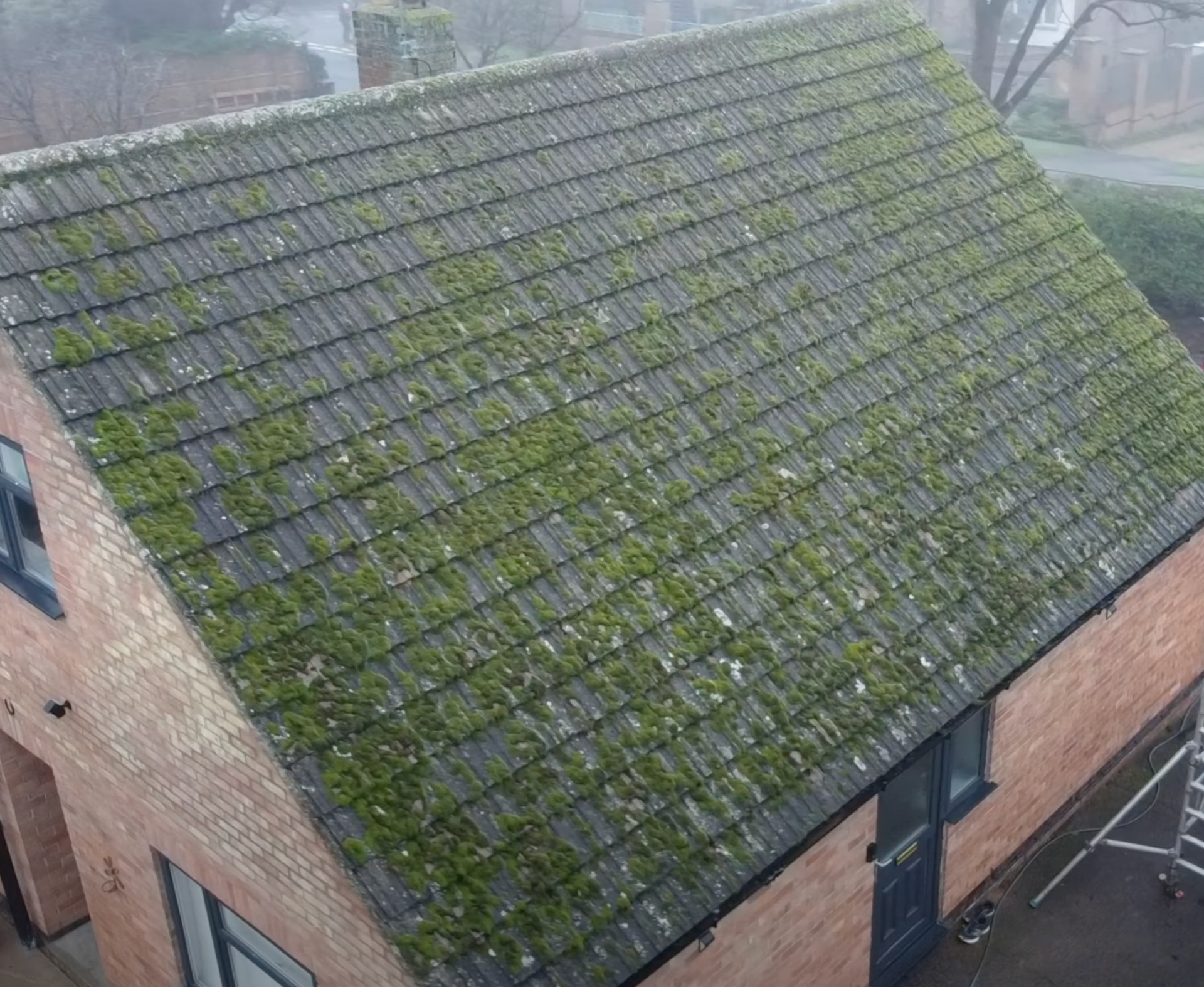 Roof Cleaning Service