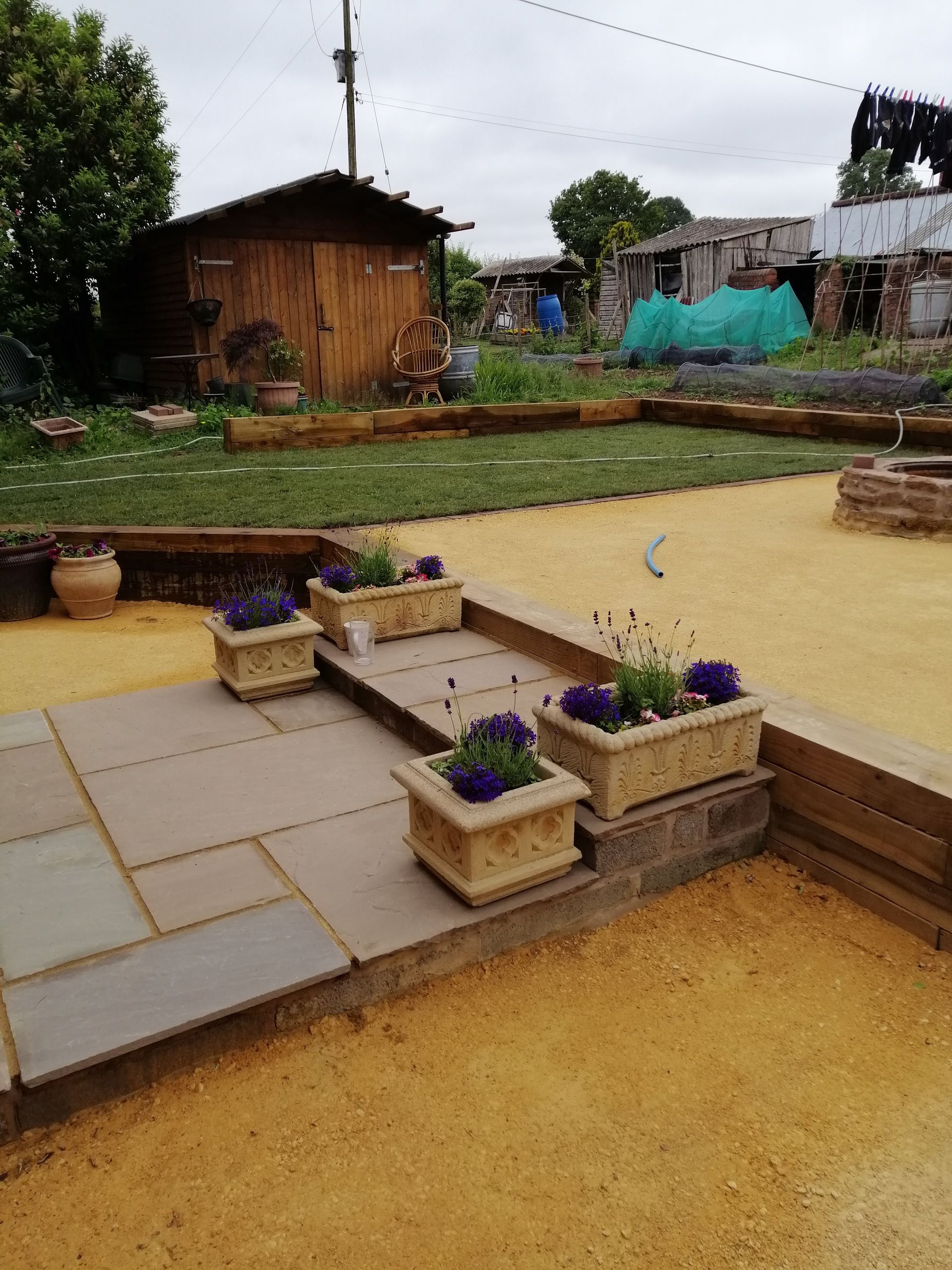 A patio with planters filled with purple flowers and a shed in the background