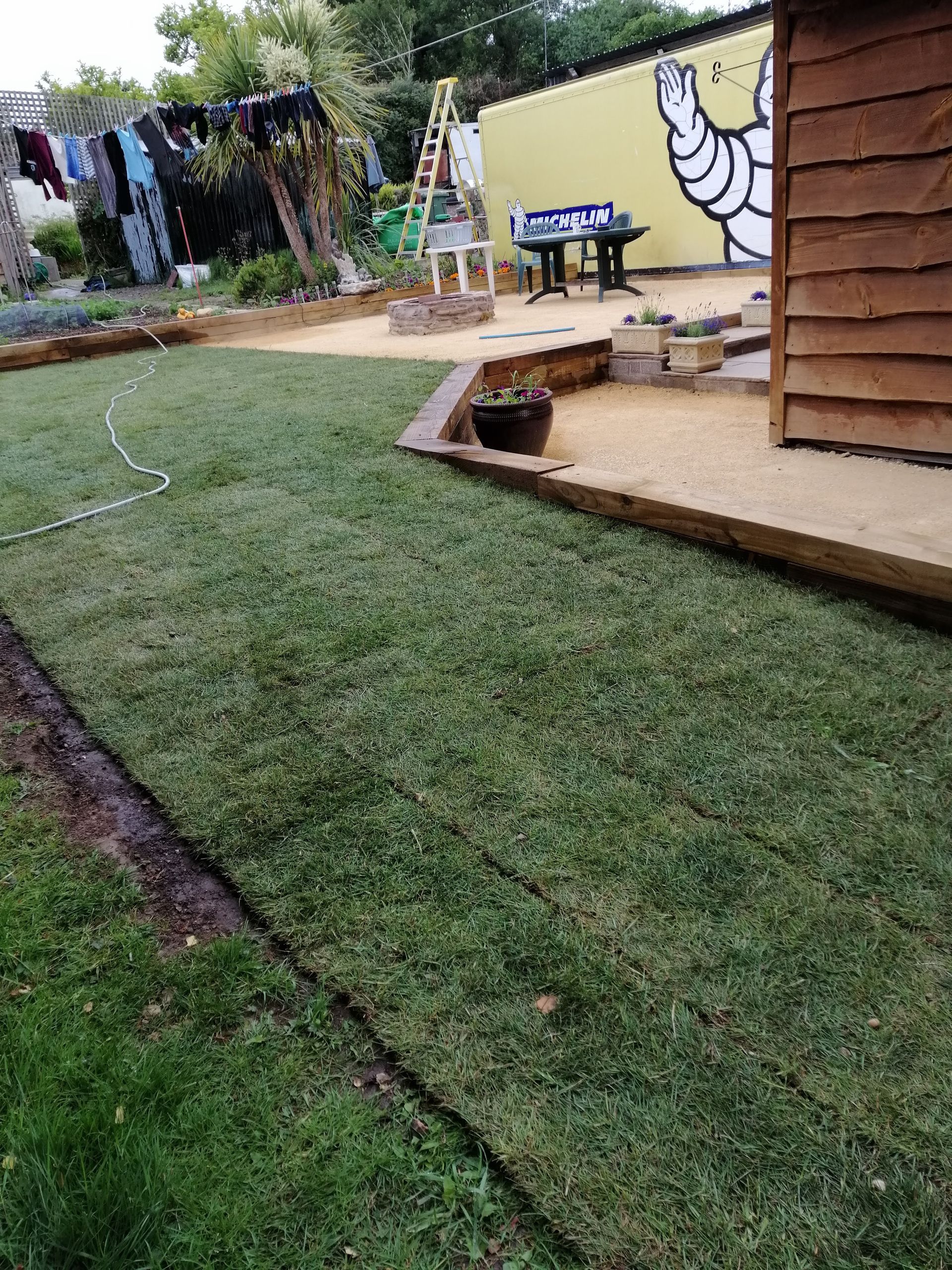 A lush green lawn in a backyard next to a wooden shed.