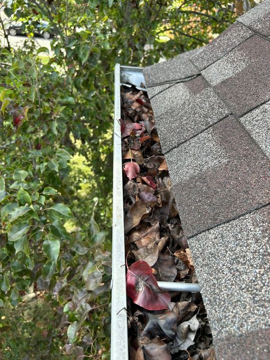 Gutter filled with dry leaves on a rooftop near green trees.