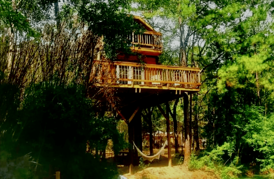 Wooden treehouse in lush green forest with a hammock below.