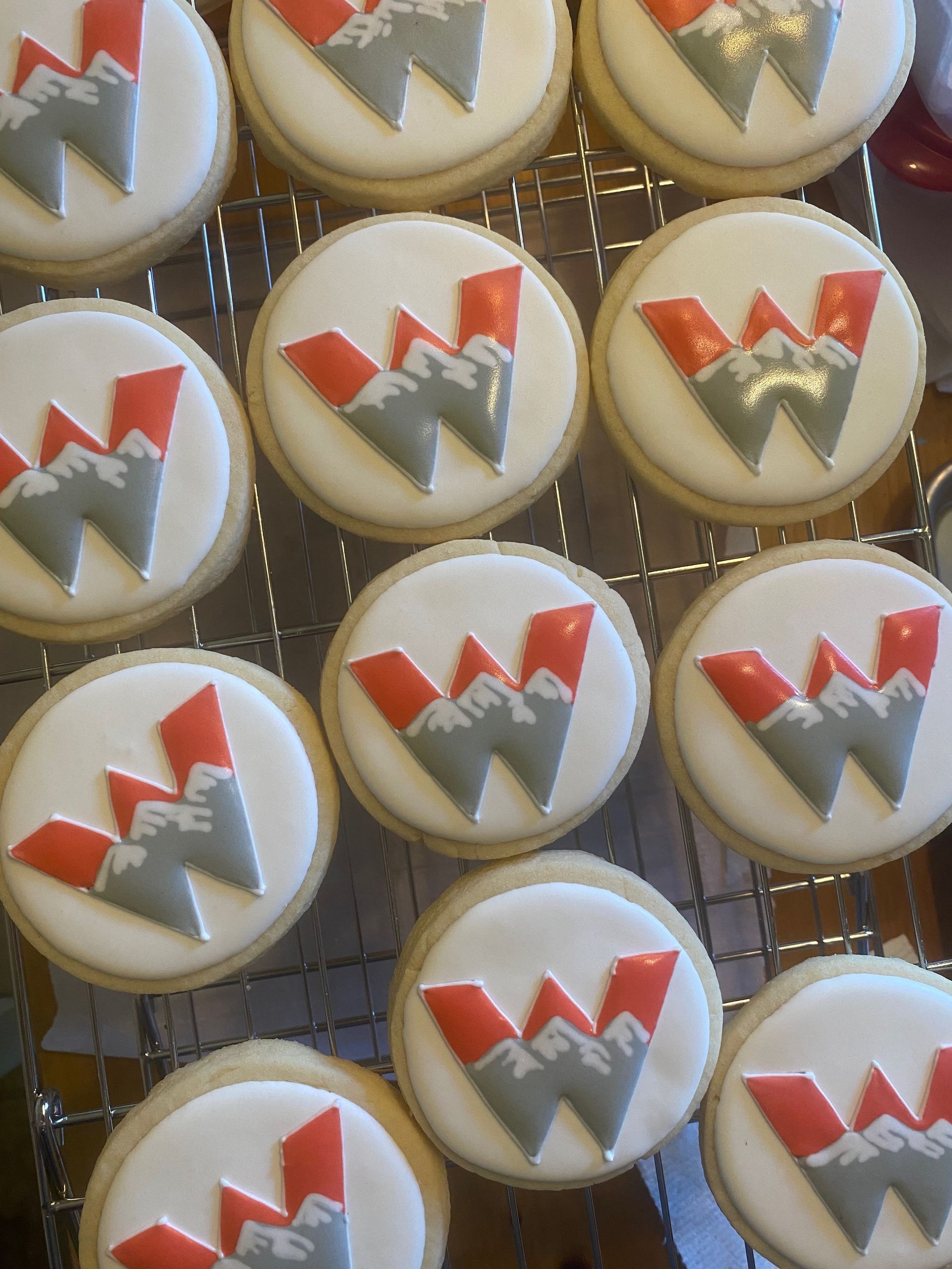 Round frosted cookies with a mountain logo, featuring gray and red mountain range on a white background.