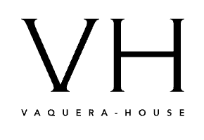 VH logo with 