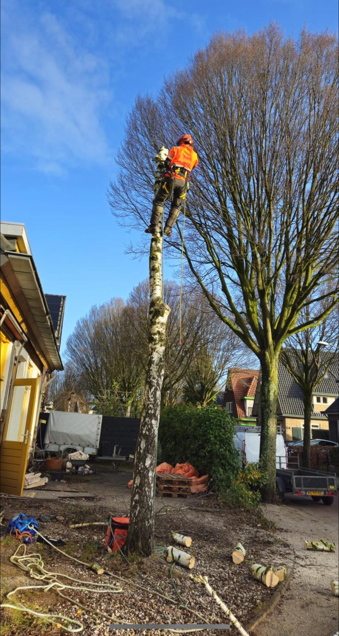 Boom snoeien Nijmegen  boom kappen in Nijmegen Boom snoeien Berg en Dal Boom kappen Berg en dal Boom snoeien Malden Boom kappen Malden Boom snoeien Heilig Landstichting Boom kappen Heilig landstichting Boom snoeien Mook Boom kappen Mook Boom snoeien Cuijk Boom kappen Cuijk Boom snoeien Wijchen Boom kappen Wijchen Boom snoeien Lent Boom kappen Lent Boom snoeien Ede Boom kappen ede Boom snoeien Winssen Boom kappen Winssen Boom snoeien Kessel Boom kappen Kessel Boom snoeien Groesbeek Boom kappen Groesbeek 
Boom snoeien Oosterhout Boom kappen Oosterhout Boom snoeien Beuningen Boom kappen Beuningen Boom snoeien Beneden-Leeuwen Boom kappen Beneden-Leeuwen Boom snoeien Ravenstein Boom kappen Ravenstein Boom snoeien Grave Boom kappen Grave
Boom snoeien Arnhem Boom kappen Arnhem Boom snoeien  Rhede Boom kappen Rhede Boom snoeien Zevenaar Boom kappen Zevenaar 
Boom snoeien Druten  Boom kappen Druten Boom snoeien Tiel Boom kappen Tiel Boom snoeien Doetinchem Boom kappen Doetinchem 
Boom snoeien Elst Boom kappen Elst Boom snoeien Heumen Boom kappen Heumen Boom snoeien  Ooy Ooij Boom kappen Ooy Ooij Boom snoeien Hernen Boom kappen Hernen Boom snoeien Wamel Boom kappen Wamel 
Boom snoeien Ressen Boom kappen Ressen Boom snoeien Doornenburg Boom kappen Doornenburg Boom snoeien Lent Boom kappen Lent
Boom snoeien Millingen aan de Rijn Boom kappen Millingen aan de Rijn Boom snoeien Plasmolen Boom kappen Plasmolen 
Boom snoeien Middelaar  Boom kappen Middelaar Boom snoeien Milsbeek Boom kappen Milsbeek  Boom snoeien Molenhoek Boom kappen Molenhoek Boom snoeien Gennep Boom kappen Gennep 
