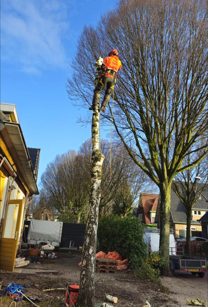 Boom snoeien Nijmegen  boom kappen in Nijmegen Boom snoeien Berg en Dal Boom kappen Berg en dal Boom snoeien Malden Boom kappen Malden Boom snoeien Heilig Landstichting Boom kappen Heilig landstichting Boom snoeien Mook Boom kappen Mook Boom snoeien Cuijk Boom kappen Cuijk Boom snoeien Wijchen Boom kappen Wijchen Boom snoeien Lent Boom kappen Lent Boom snoeien Ede Boom kappen ede Boom snoeien Winssen Boom kappen Winssen Boom snoeien Kessel Boom kappen Kessel Boom snoeien Groesbeek Boom kappen Groesbeek 
Boom snoeien Oosterhout Boom kappen Oosterhout Boom snoeien Beuningen Boom kappen Beuningen Boom snoeien Beneden-Leeuwen Boom kappen Beneden-Leeuwen Boom snoeien Ravenstein Boom kappen Ravenstein Boom snoeien Grave Boom kappen Grave
Boom snoeien Arnhem Boom kappen Arnhem Boom snoeien  Rhede Boom kappen Rhede Boom snoeien Zevenaar Boom kappen Zevenaar 
Boom snoeien Druten  Boom kappen Druten Boom snoeien Tiel Boom kappen Tiel Boom snoeien Doetinchem Boom kappen Doetinchem 
Boom snoeien Elst Boom kappen Elst Boom snoeien Heumen Boom kappen Heumen Boom snoeien  Ooy Ooij Boom kappen Ooy Ooij Boom snoeien Hernen Boom kappen Hernen Boom snoeien Wamel Boom kappen Wamel 
Boom snoeien Ressen Boom kappen Ressen Boom snoeien Doornenburg Boom kappen Doornenburg Boom snoeien Lent Boom kappen Lent
Boom snoeien Millingen aan de Rijn Boom kappen Millingen aan de Rijn Boom snoeien Plasmolen Boom kappen Plasmolen 
Boom snoeien Middelaar  Boom kappen Middelaar Boom snoeien Milsbeek Boom kappen Milsbeek  Boom snoeien Molenhoek Boom kappen Molenhoek Boom snoeien Gennep Boom kappen Gennep 
