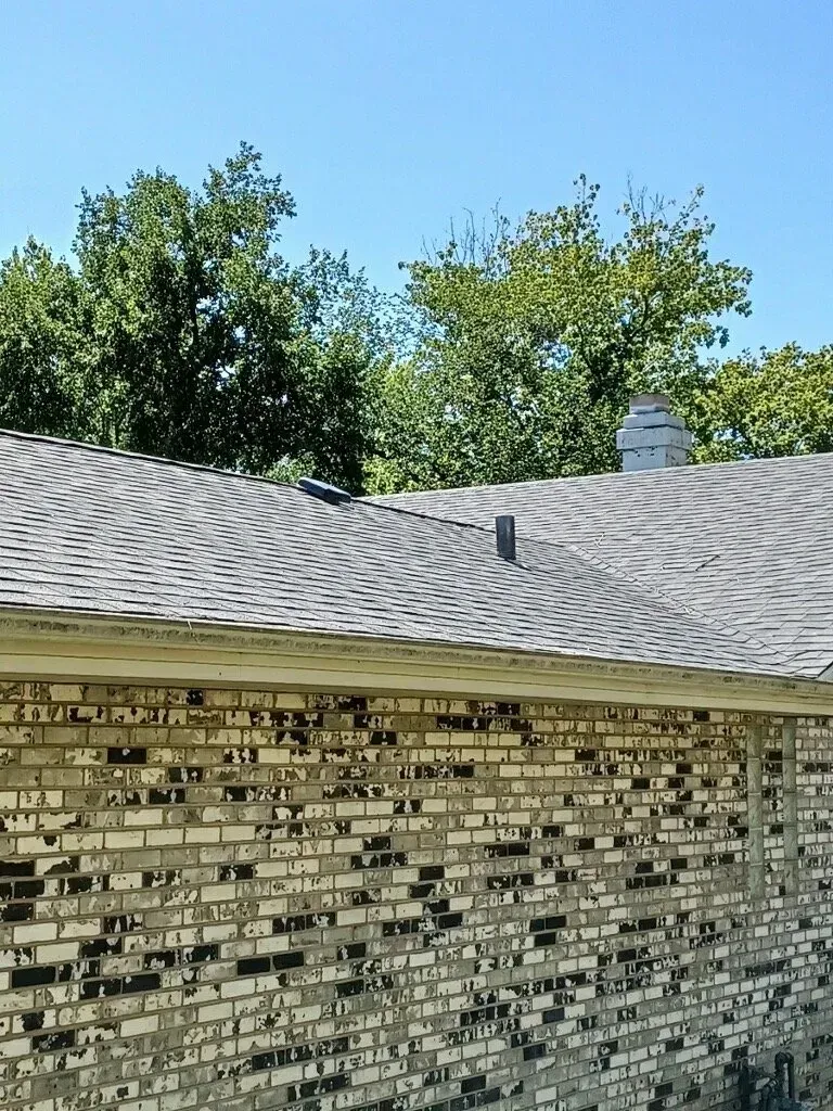 Brick wall with peeling paint, gray roof, trees, and blue sky.