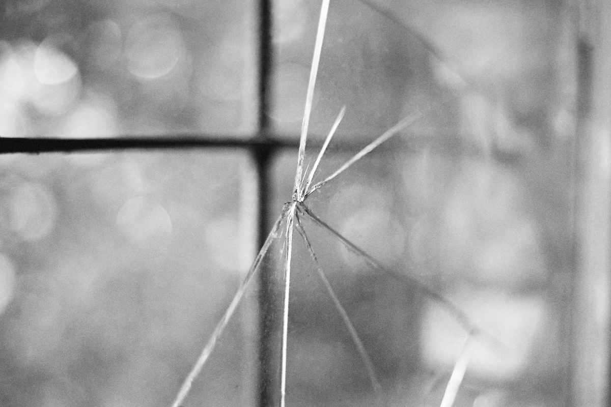 Black and white photo: Close-up of thin, spiky plant stems against a window grid, blurred background of foliage.