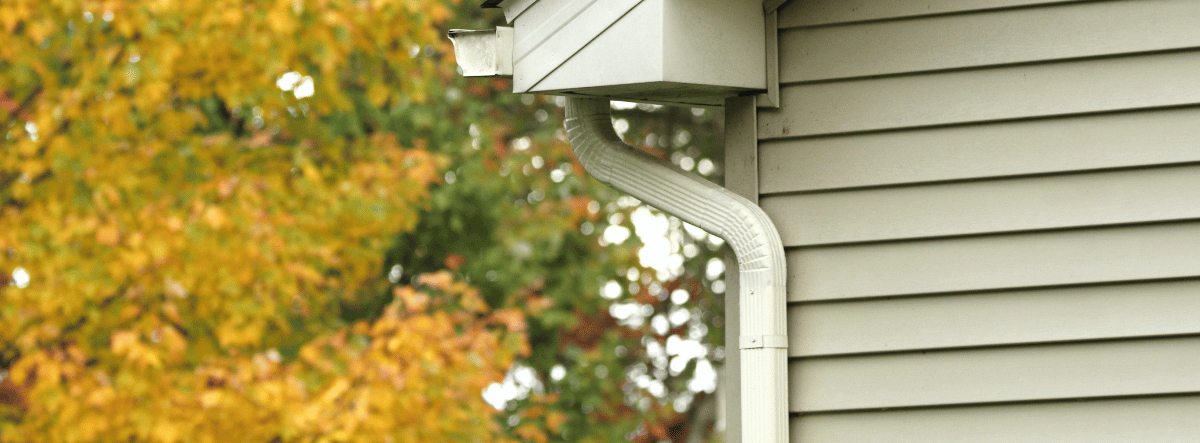 A section of a house with a downspout and siding, autumn leaves in the background.
