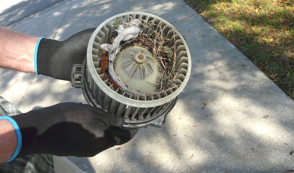 Hands wearing black gloves holding a car blower fan with debris inside.