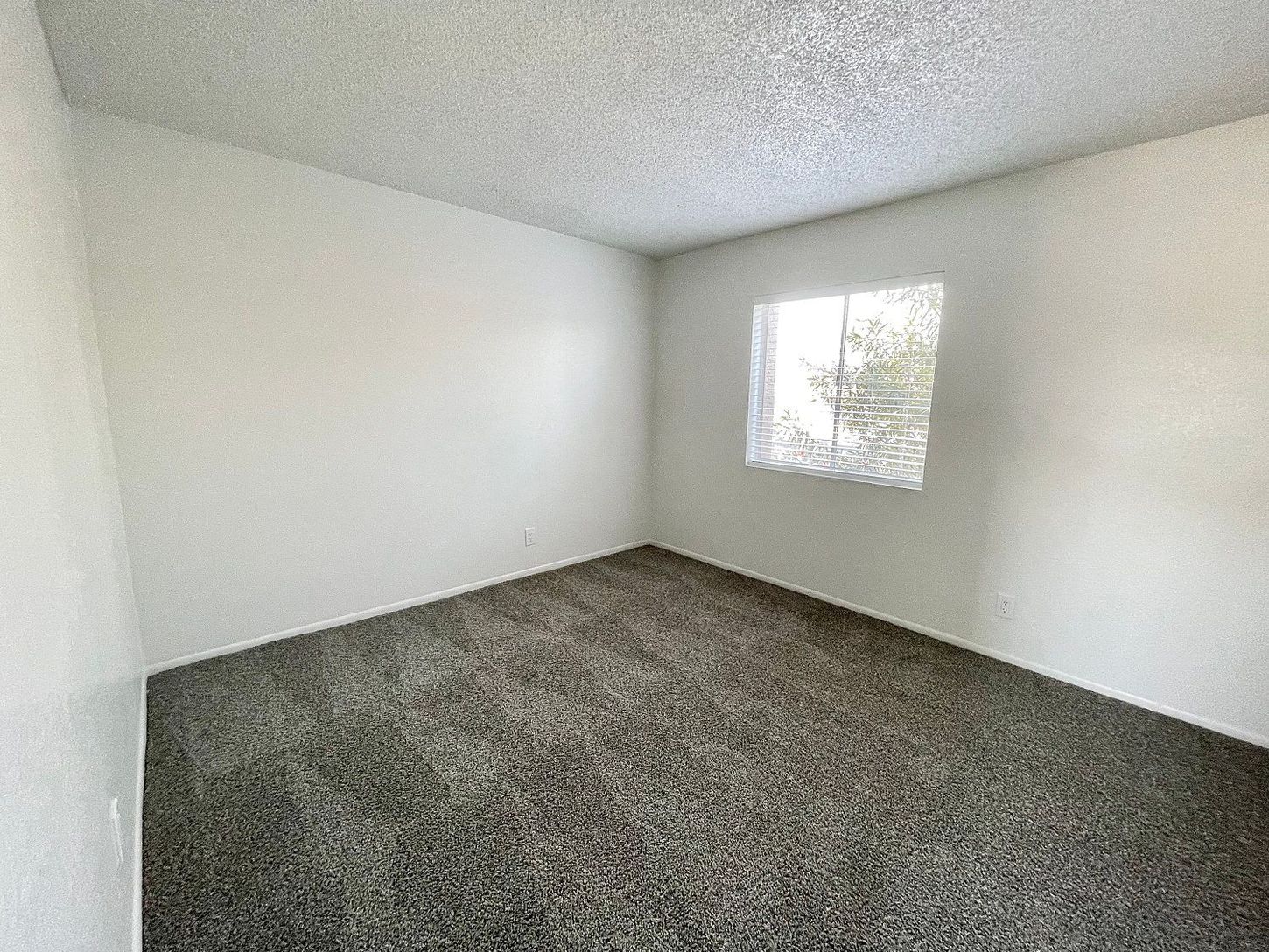 Empty room with gray carpet, white walls, and a small window with light.