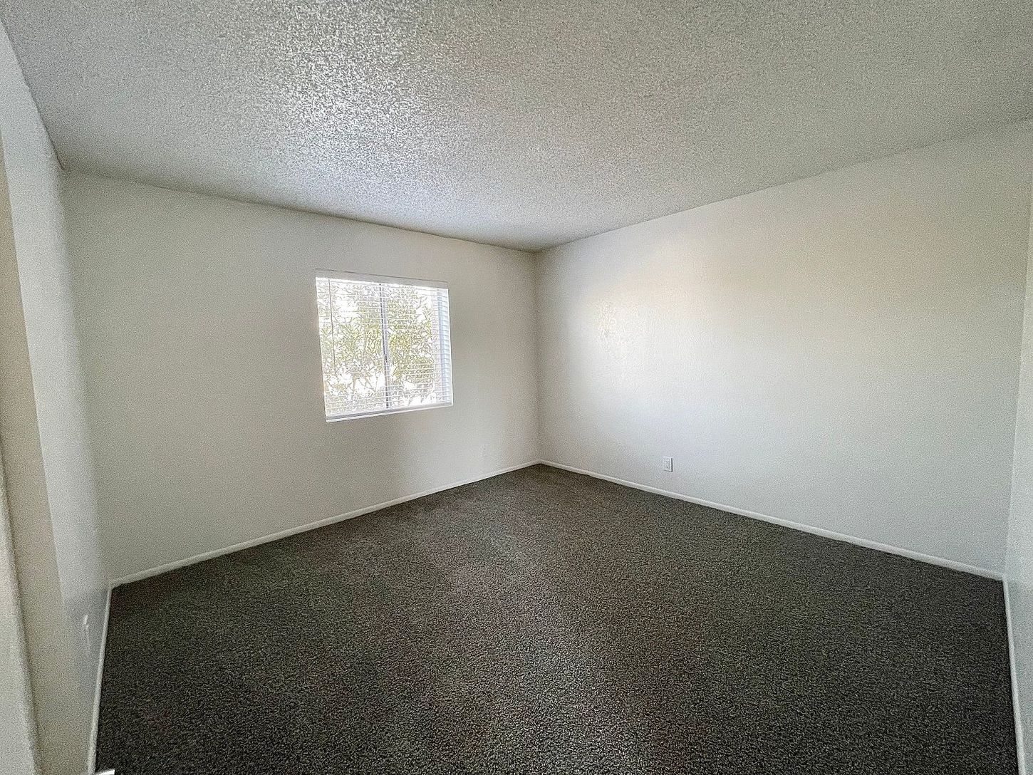 Empty room with white walls, window, and dark carpet.