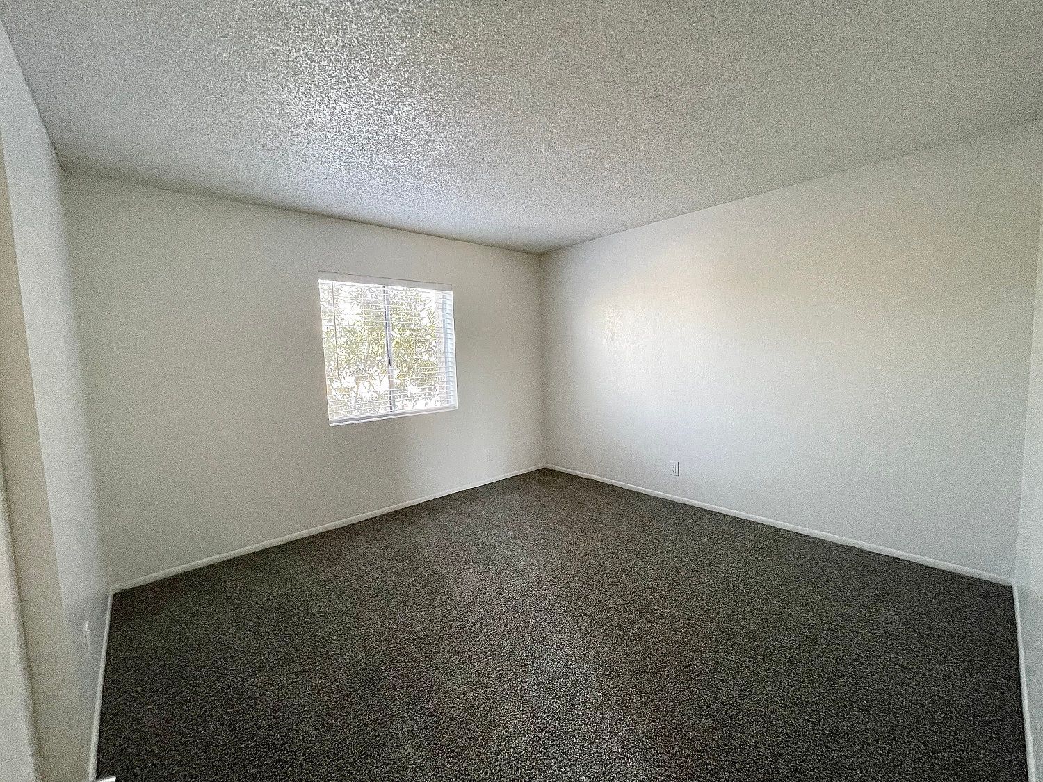 Empty room with white walls, window, and dark carpet.