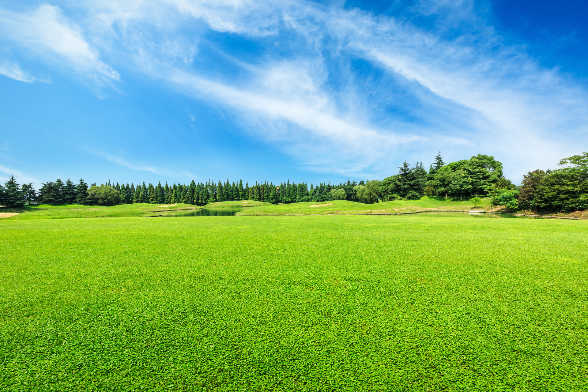 A lush green field with trees in the background and a blue sky with clouds.