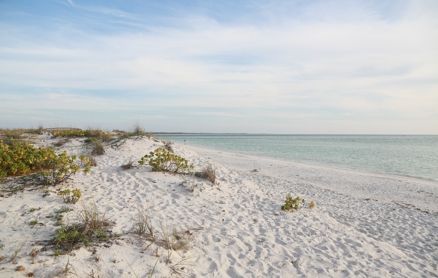 A marina filled with sailboats featuring white sails with teal accents under a blue, cloudy sky.