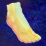 A glowing, translucent foot highlighted in yellow and orange against a dark blue background.