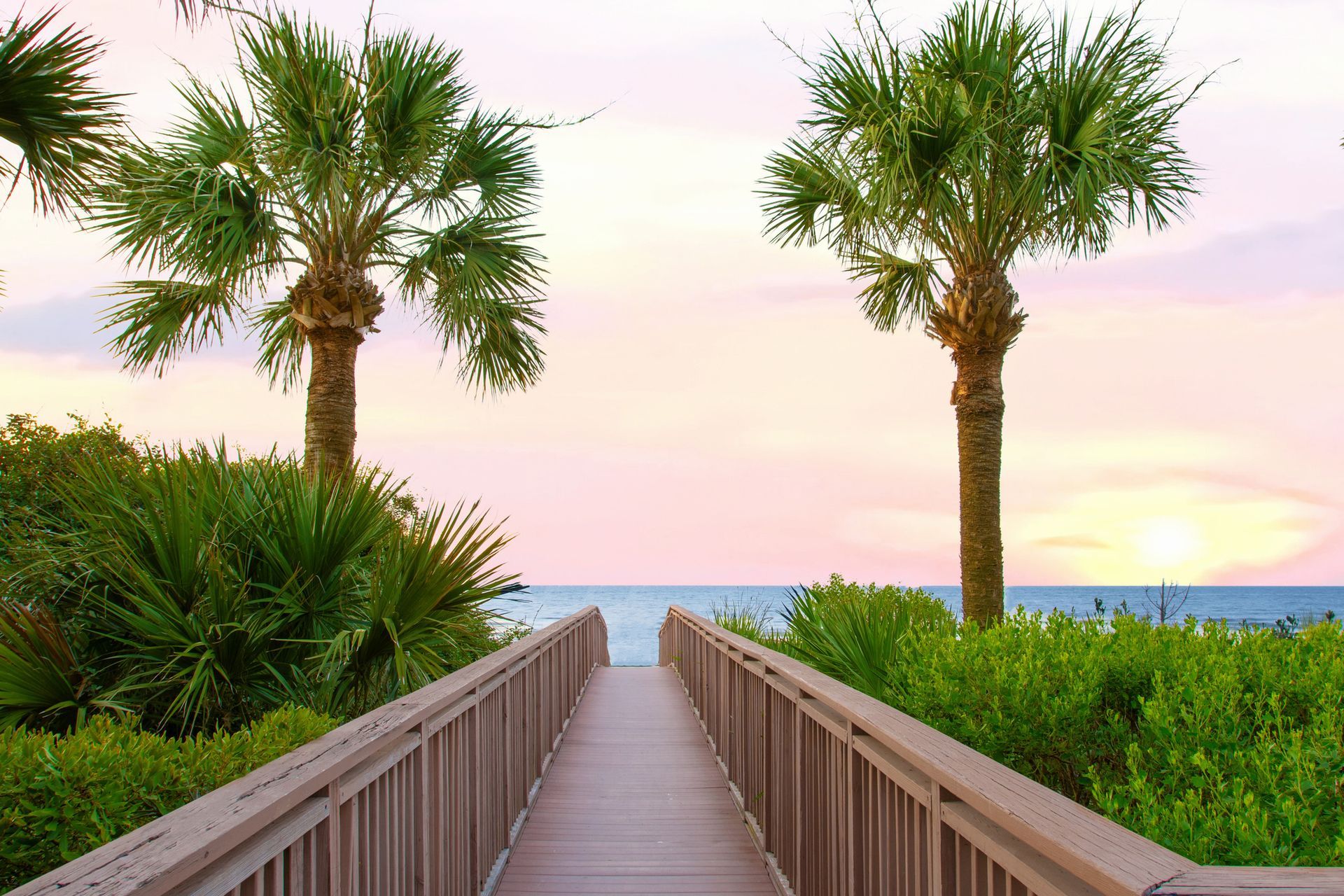 Desert landscape with hot air ballooons floating above mountains