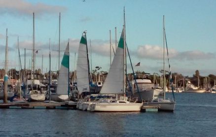 A marina filled with sailboats featuring white sails with teal accents under a blue, cloudy sky.