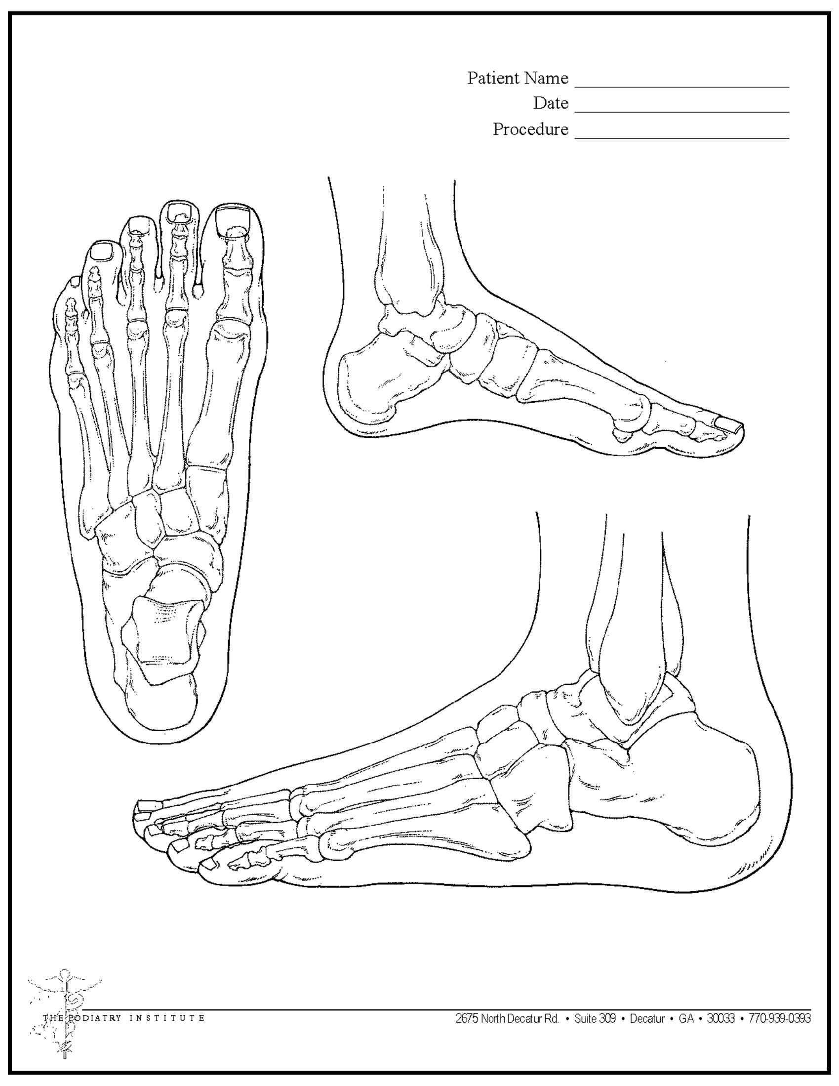 Anatomy worksheet featuring line drawings of the human foot from top and side views, with blank fields for student details.