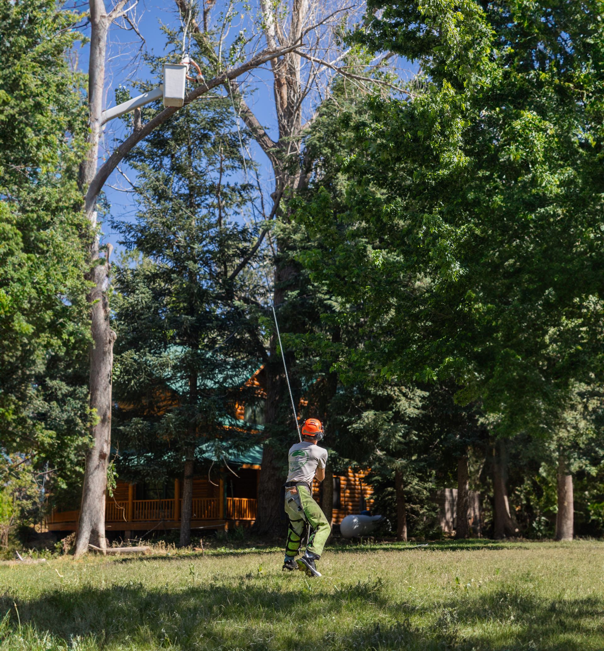 Fire Mitigation in Payson, AZ | Tree Crafters