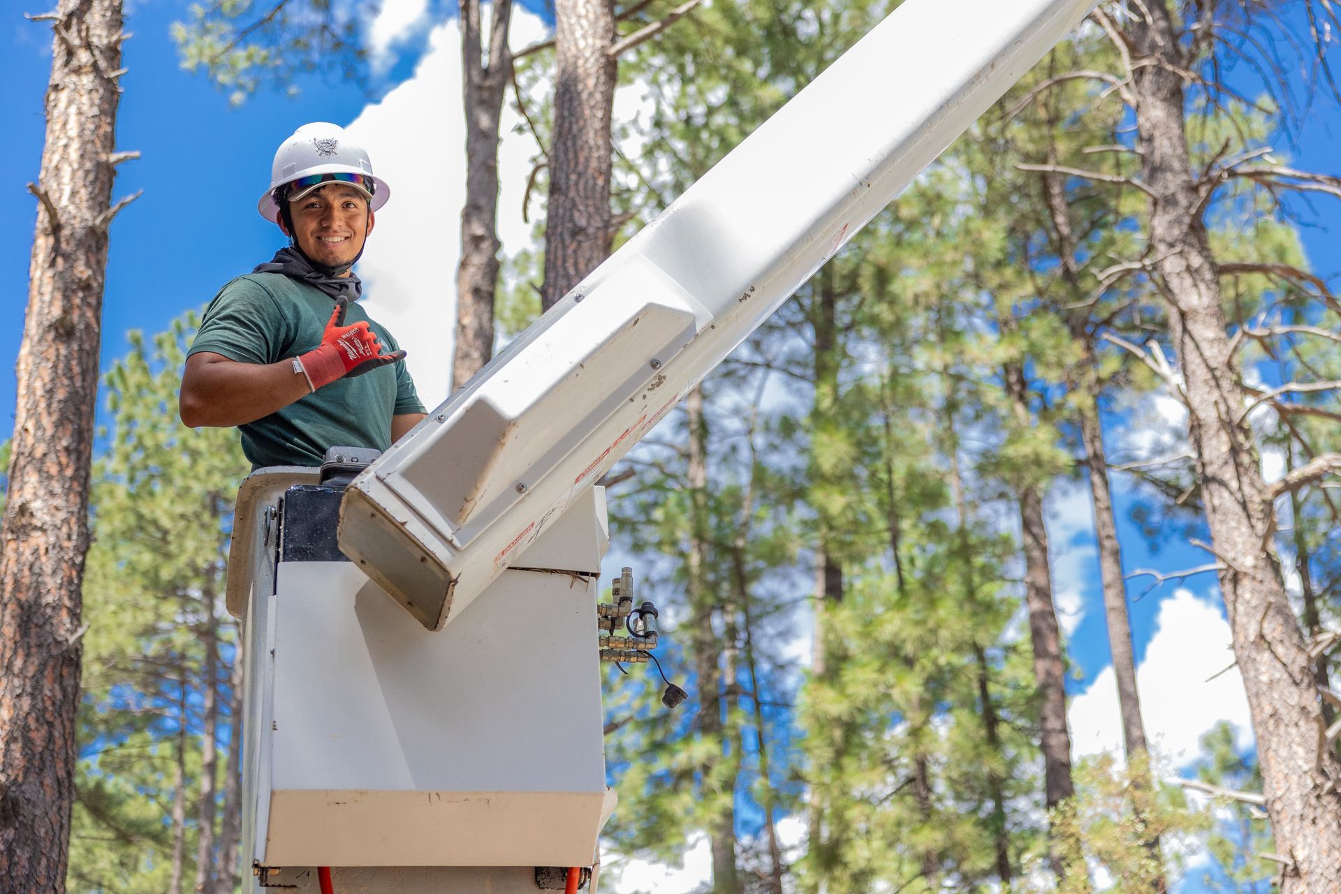 Arborist in Payson, AZ | Tree Crafters