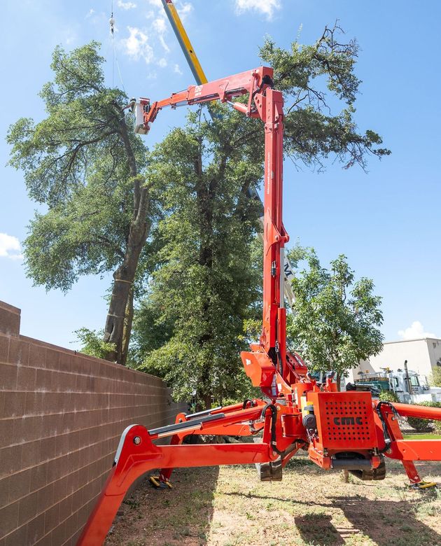 Tree Removal and Trimming in Payson, AZ