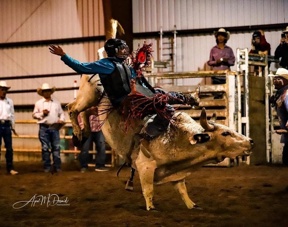 Rider Holding On A Twisting Bull