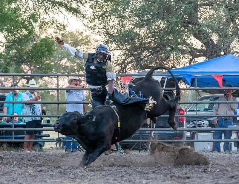 Rodeo Riding On A Black Bull