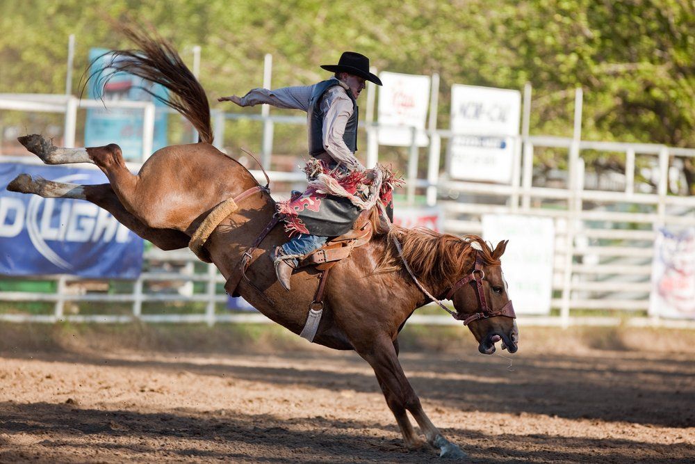 Rodeo Riding On A Horse