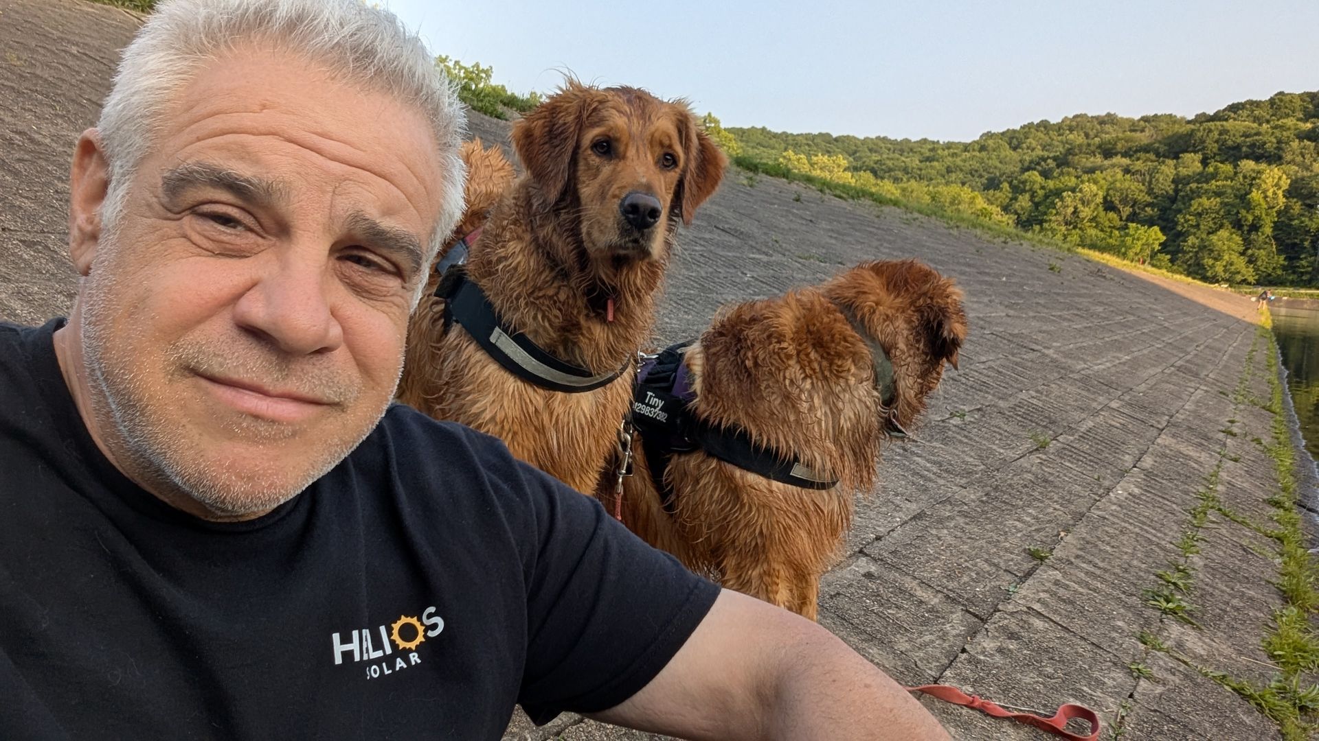 A man is taking a selfie with two dogs.