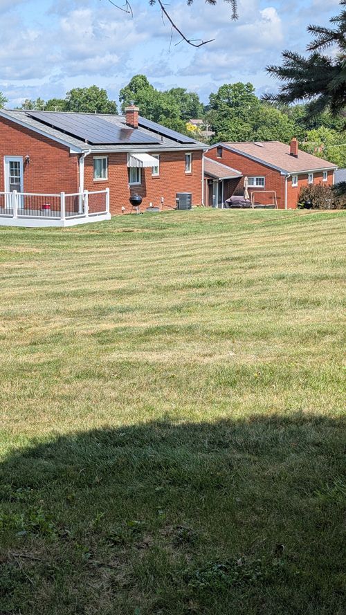 A row of houses are sitting on top of a lush green field.