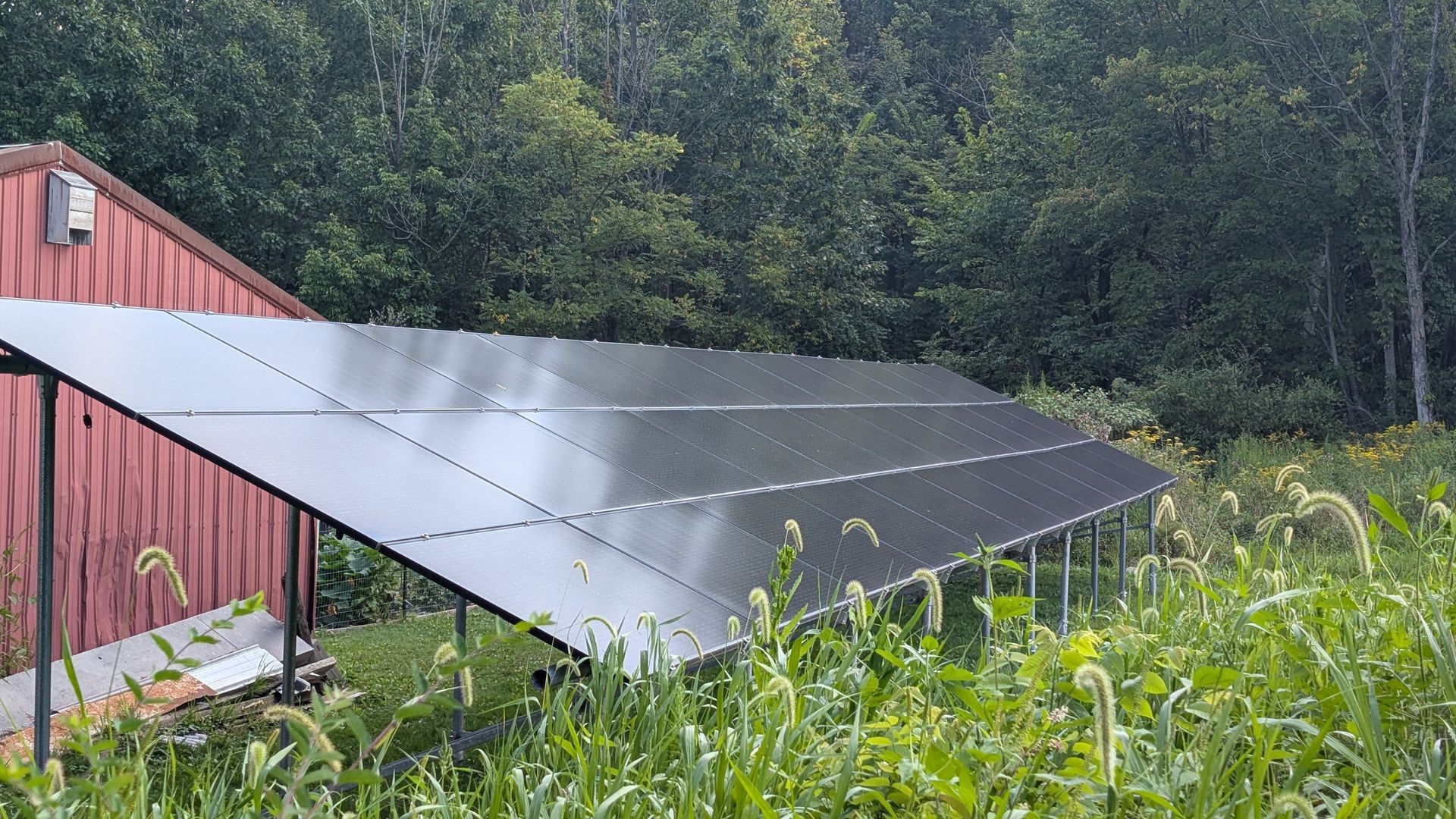 Solar panels on a metal frame next to a red building and tall grass, with a forest backdrop.