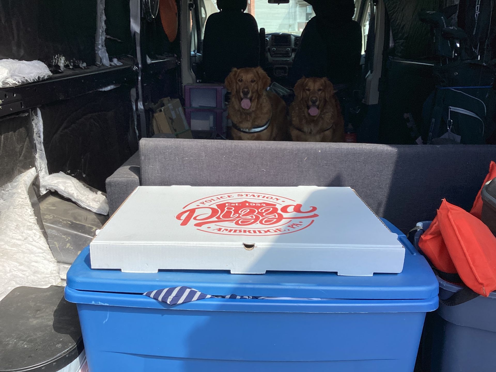 Two golden-colored dogs sit inside a van, looking at a pizza box resting on a large blue plastic storage bin.