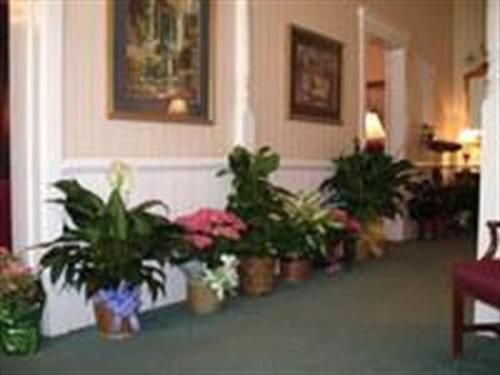 A hallway filled with potted plants and flowers.