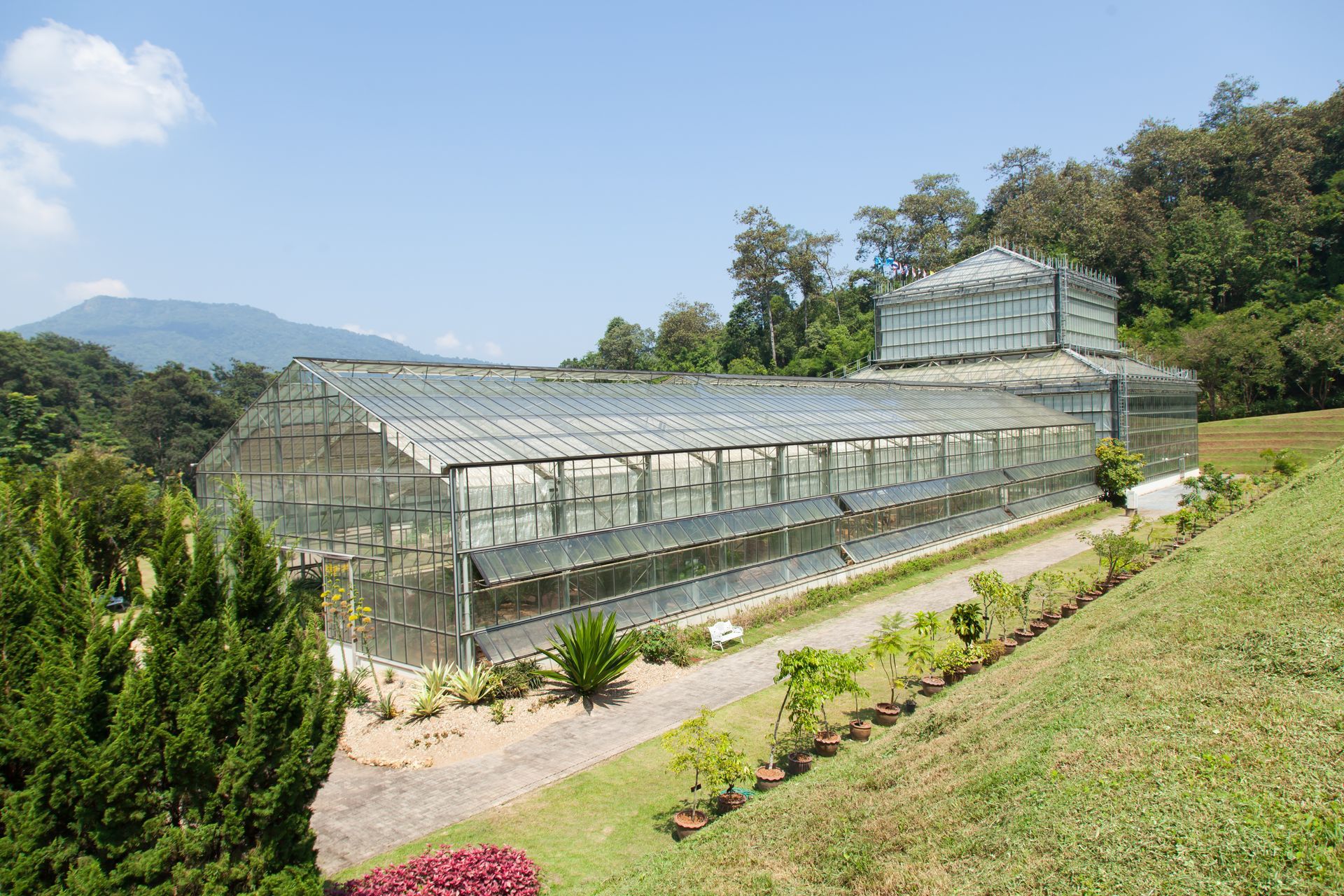 A large greenhouse is sitting on top of a grassy hill surrounded by trees.
