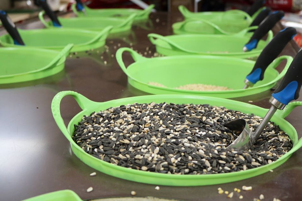 Baltimore Oriole — Ephrata, PA — Ephrata Agway