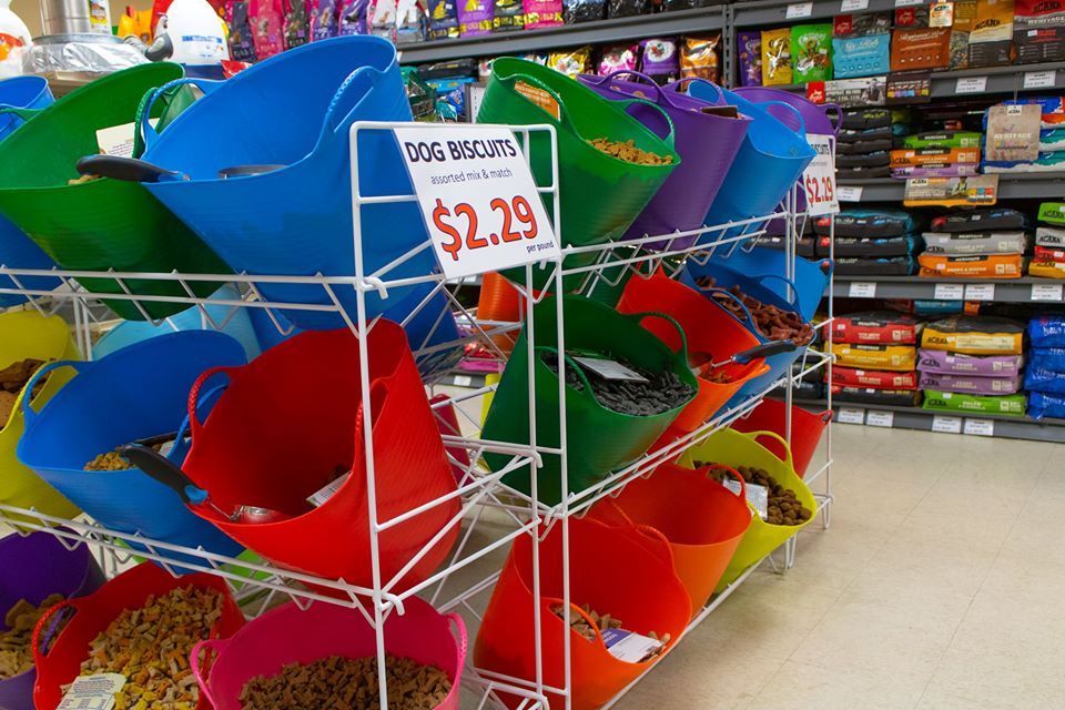 Colorful dog treat bins for sale in a pet store. Each bin is $2.29.