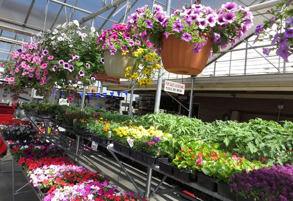 Beautiful Flowers — Ephrata, PA — Ephrata Agway