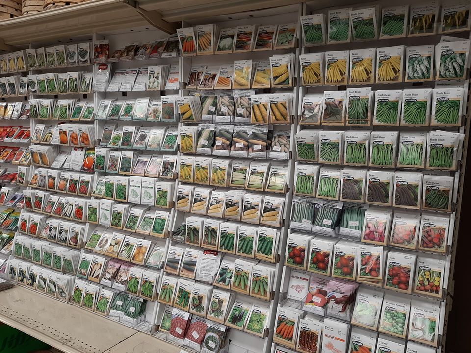 Seed packets displayed on shelves at a store, arranged by type, with a variety of colors and labels.