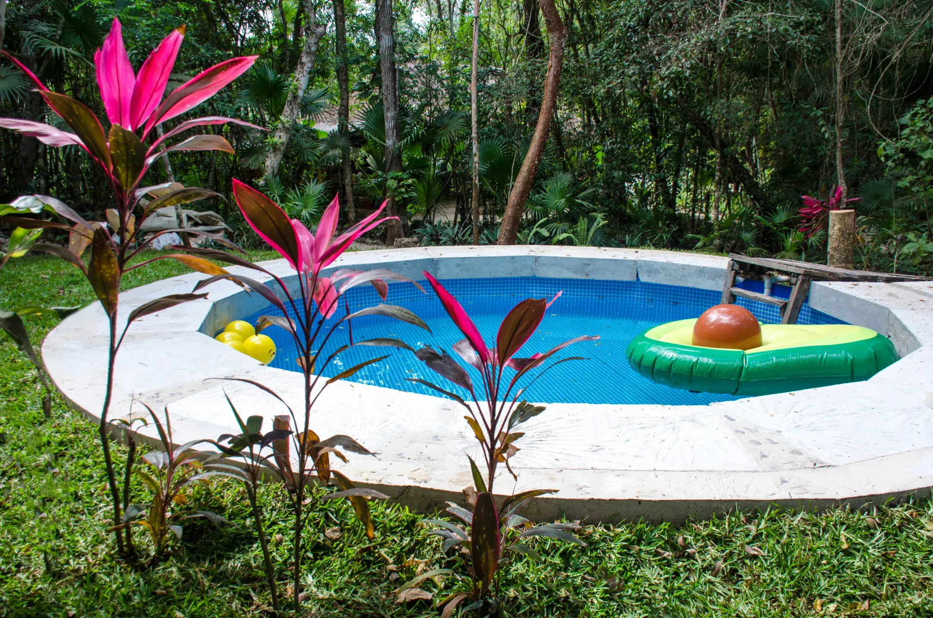 A small, round pool with an avocado float in a lush green garden.