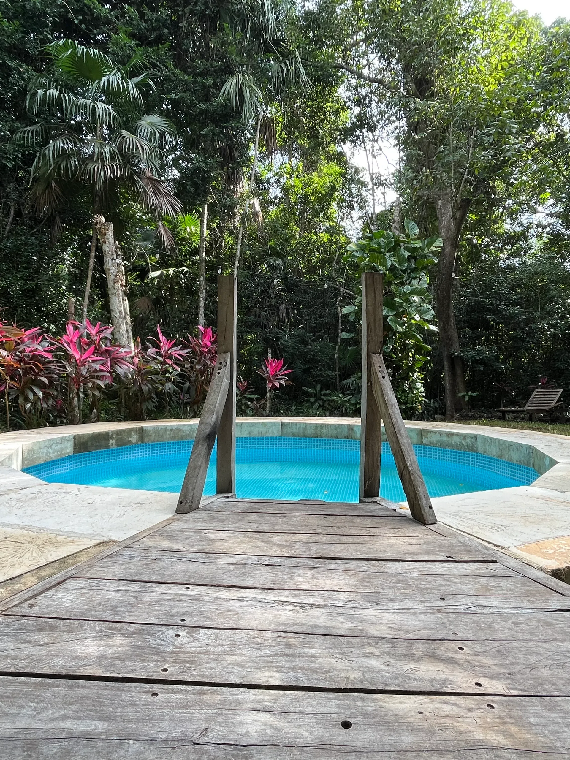 Puente de madera que conduce a una piscina redonda rodeada de vegetación.